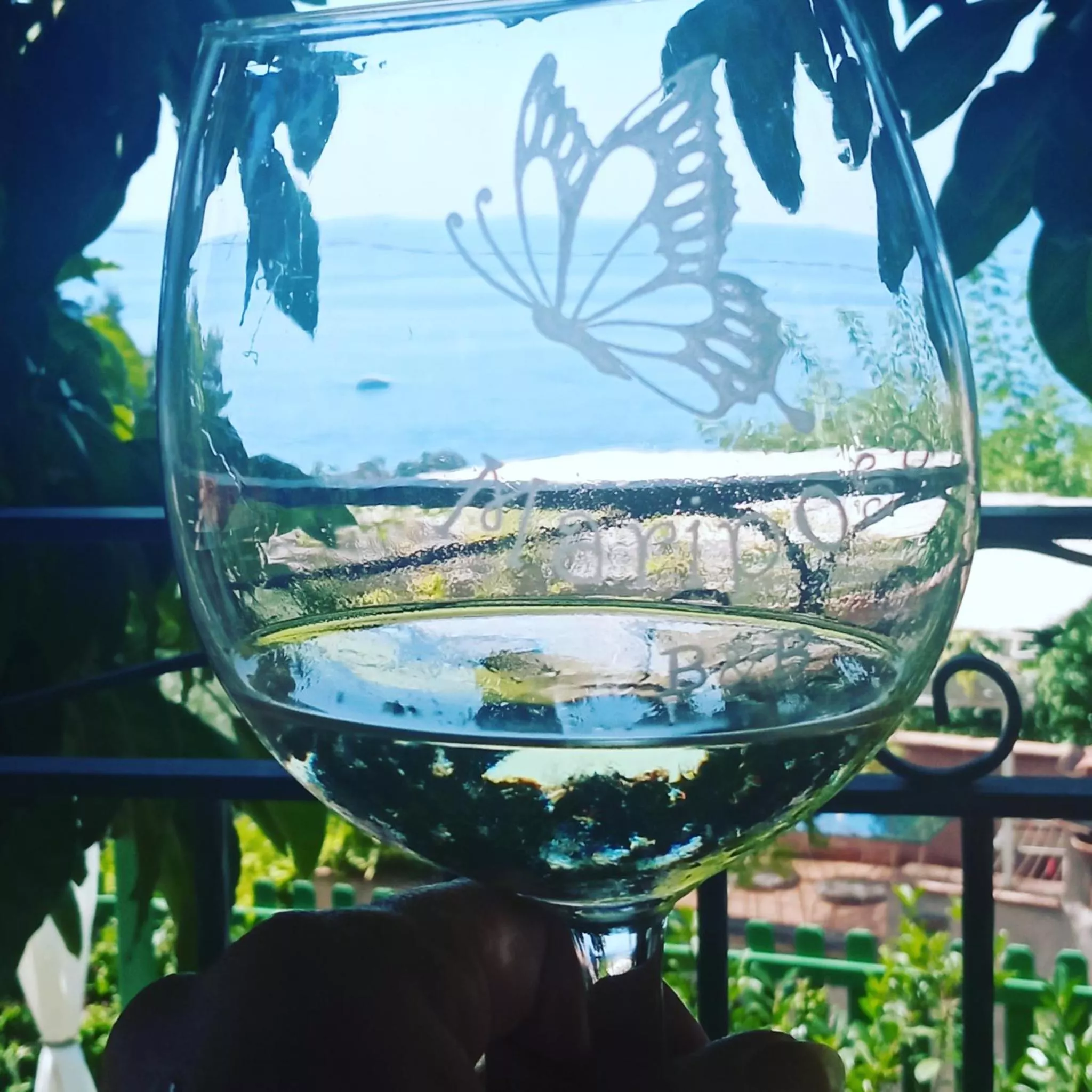 Un calice con la farfalla incisa e il mare riflesso