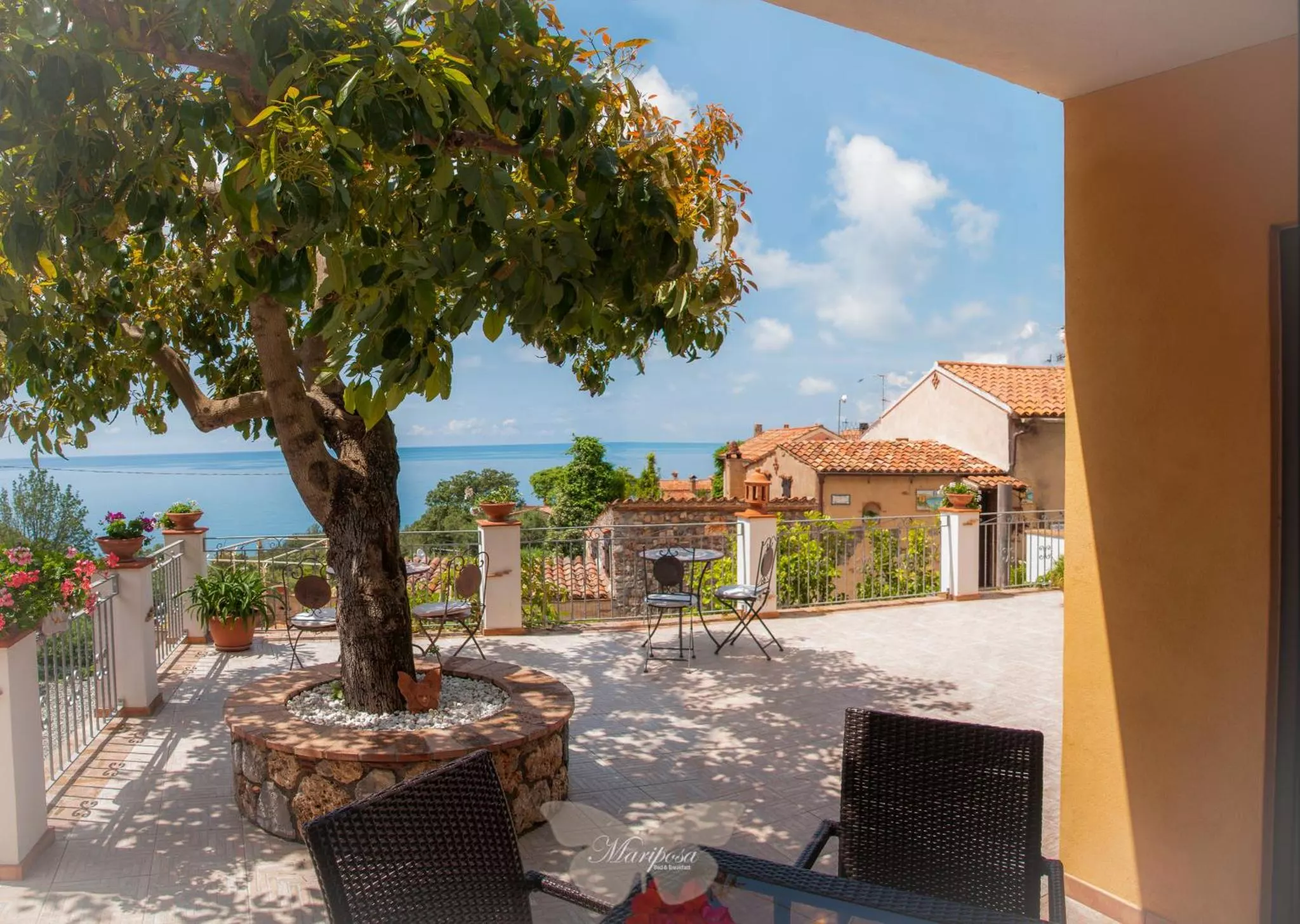 La terrazza all'ombra dell'albero di avocado, con il mare sullo sfondo