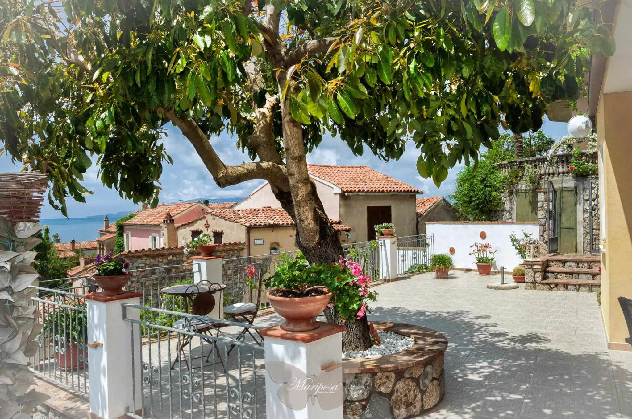La terrazza comune con l'albero di avocado e il borgo